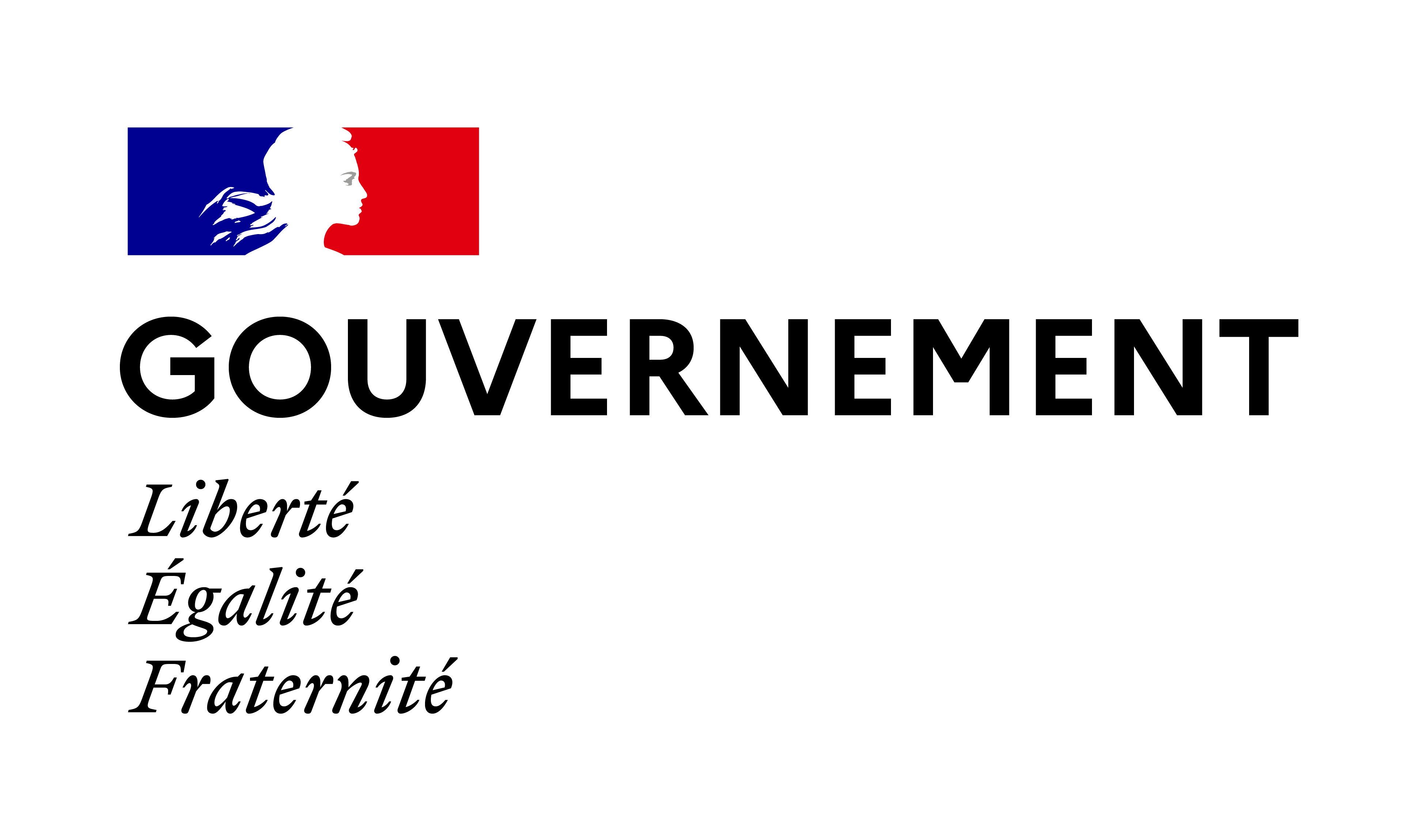 Gouvernement_RVB