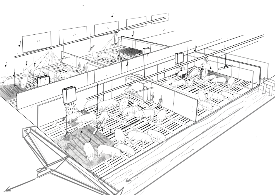 Conception de bâtiments porcins innovants en santé et bien-être animal