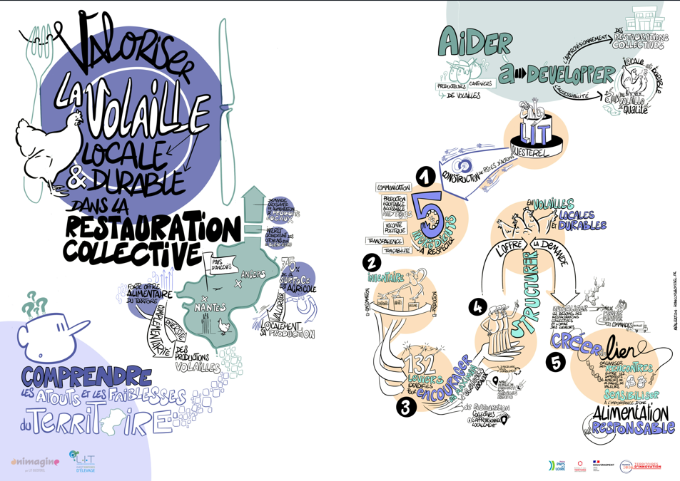 Fresque approvisionnement local et durable en volaille par François Boissel